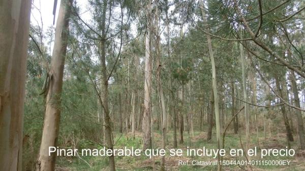 Terreno en Seixas-Vilarnovo, 414 Ac