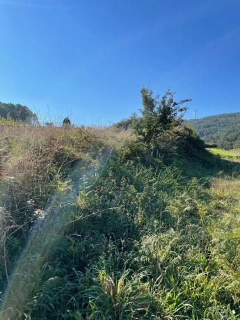 Terreno en Lugar Abaixo, 1
