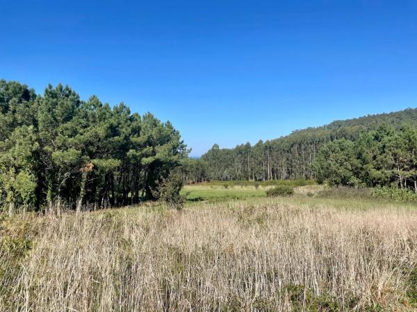 Terreno en Lugar Abaixo, 1