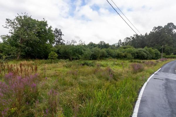 Terreno en Cariño