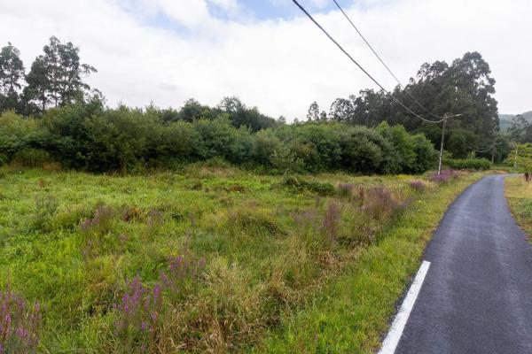 Terreno en Cariño