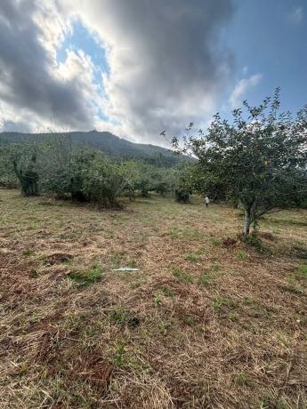 Terreno en Lugar Reboredo, 8