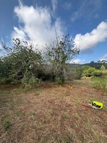 Terreno en Lugar Reboredo, 8