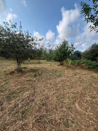 Terreno en Lugar Reboredo, 8