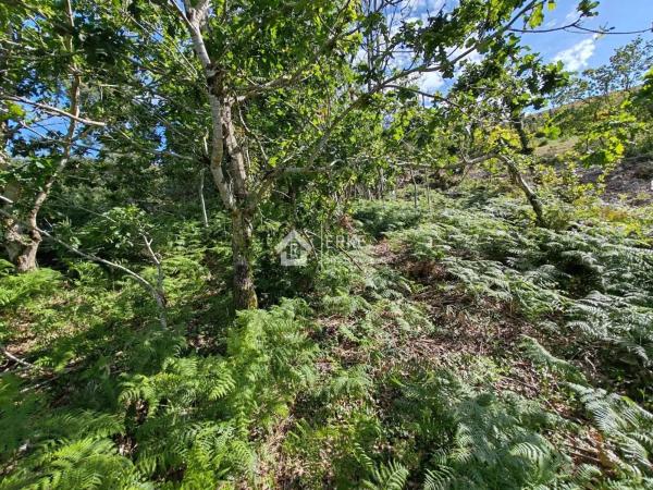 Terreno en camino Sen Nome