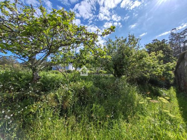 Terreno en camino Sen Nome