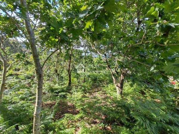 Terreno en camino Sen Nome