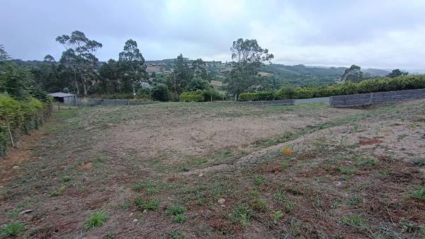 Terreno en calle Abedul, 16