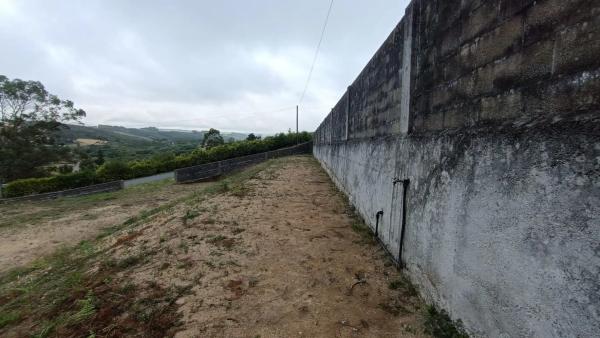 Terreno en calle Abedul, 16
