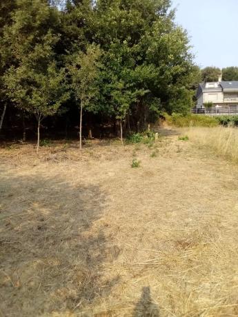 Terreno en Sorga, 1