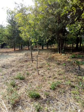 Terreno en Sorga, 1