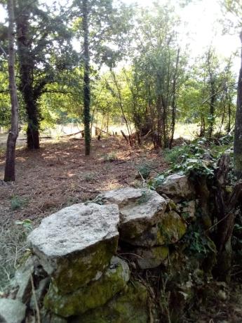 Terreno en Sorga, 1