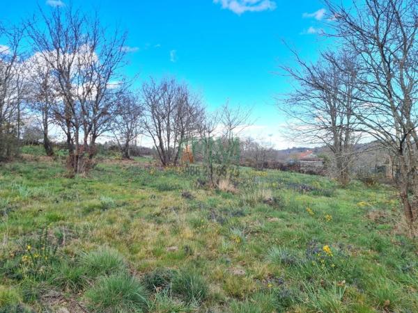 Terreno en carretera de Celanova s/n