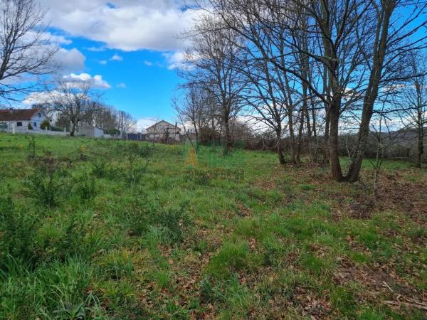 Terreno en carretera de Celanova s/n