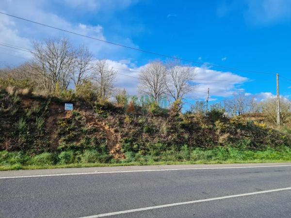 Terreno en carretera de Celanova s/n
