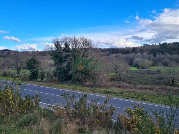 Terreno en carretera de Celanova s/n