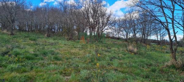 Terreno en carretera de Celanova s/n