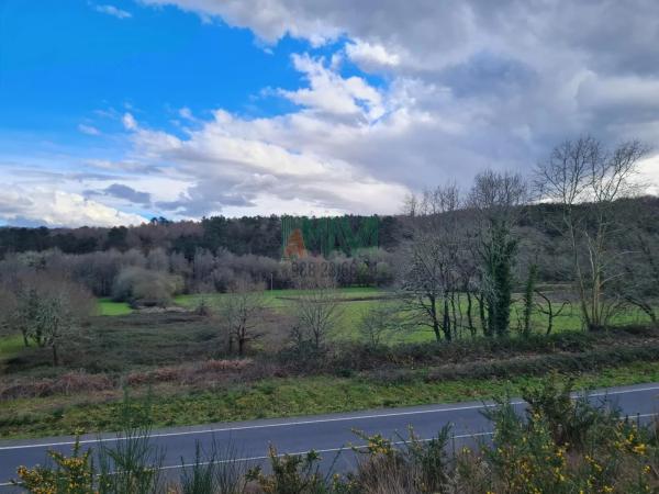 Terreno en carretera de Celanova s/n