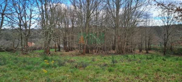 Terreno en carretera de Celanova s/n