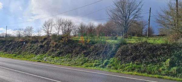 Terreno en carretera de Celanova s/n