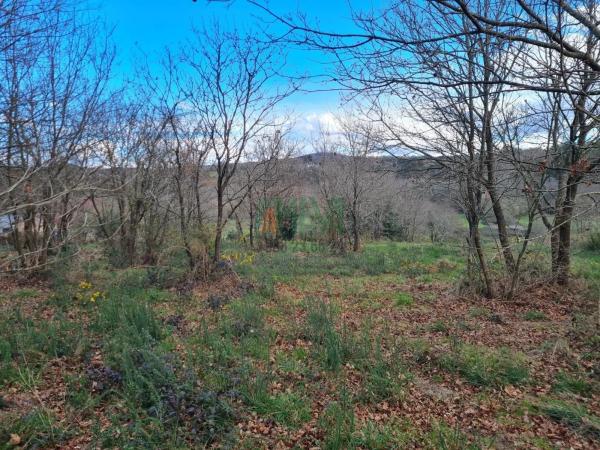 Terreno en carretera de Celanova s/n