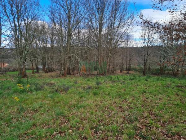 Terreno en carretera de Celanova s/n