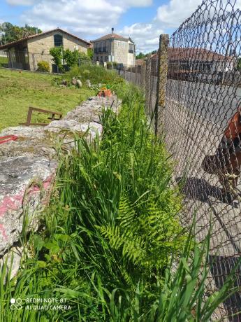 Terreno en Lugar Veiga, 24