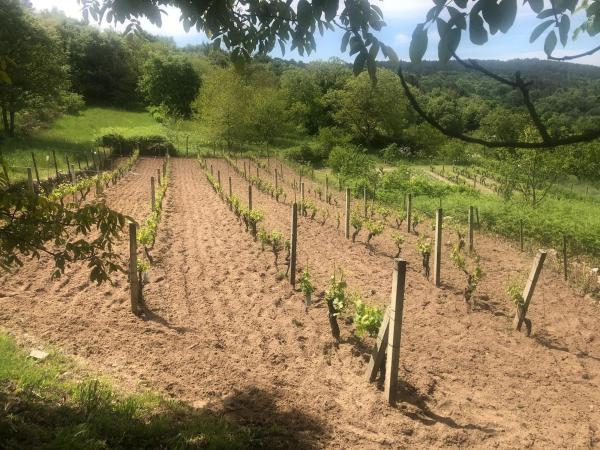 Terreno en o Casal, km 1