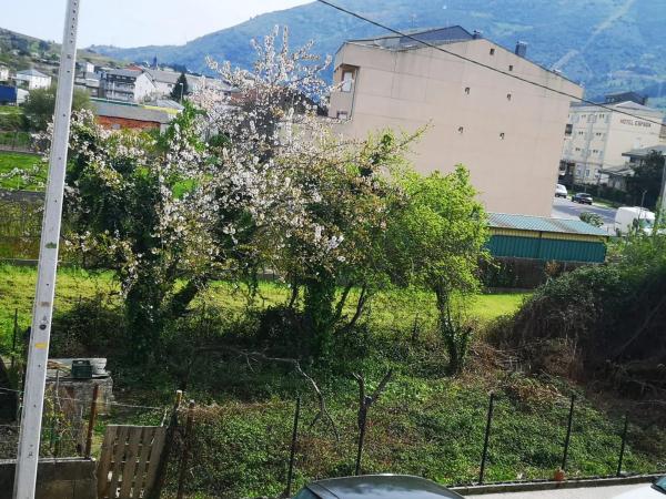 Terreno en calle Campo Grande, 29