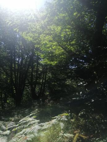 Terreno en Raigada, 12