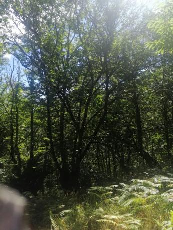 Terreno en Raigada, 12