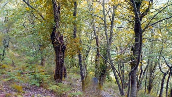 Terreno en Lumeares, km 10