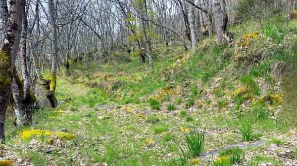 Terreno en Lumeares, km 10