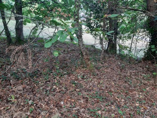 Terreno en Lugar a Portela