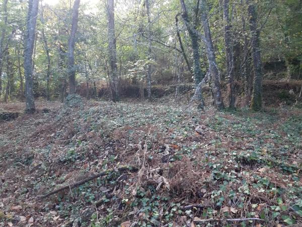 Terreno en Lugar a Portela