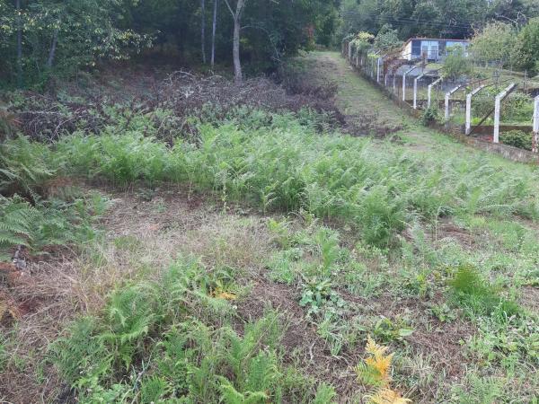 Terreno en Lugar a Portela