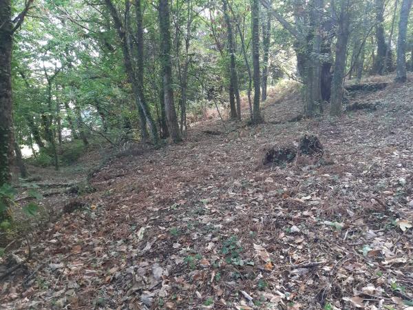 Terreno en Lugar a Portela