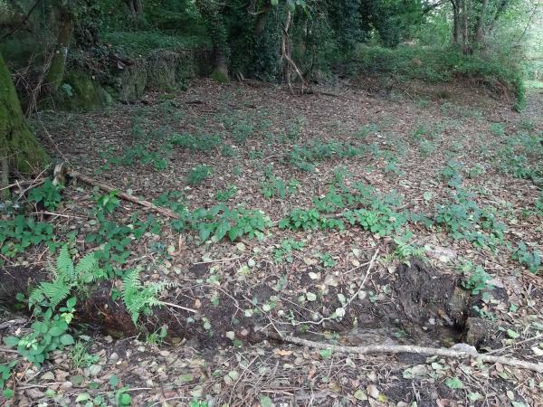 Terreno en Lugar a Portela