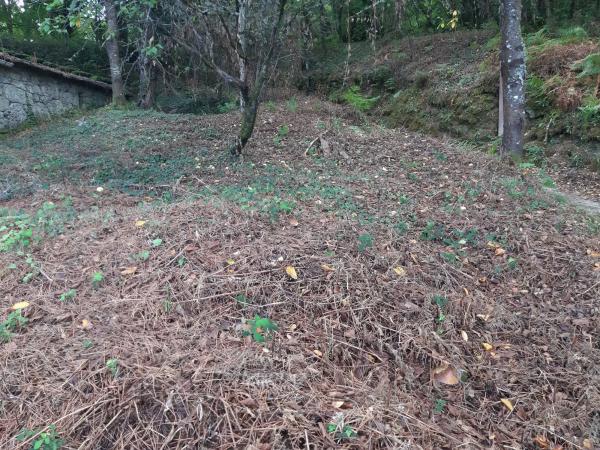 Terreno en Lugar a Portela