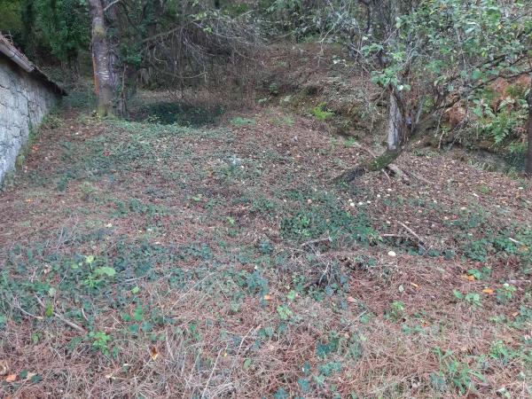Terreno en Lugar a Portela