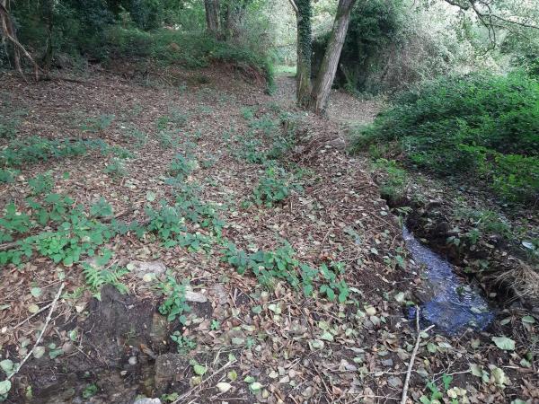 Terreno en Lugar a Portela