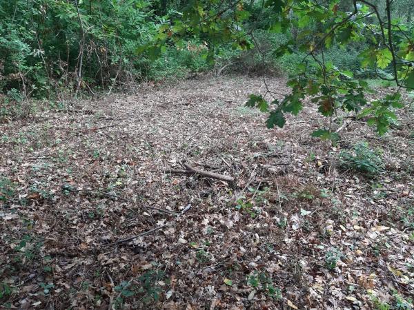 Terreno en Lugar a Portela