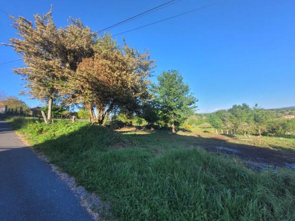 Terreno en o Castro, Allariz, 1 n