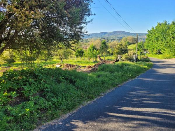 Terreno en o Castro, Allariz, 1 n