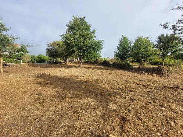 Terreno en o Castro, Allariz, 1 n