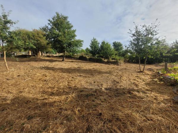 Terreno en o Castro, Allariz, 1 n