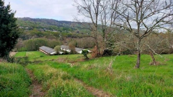 Terreno en calle Fonteiriña s/n