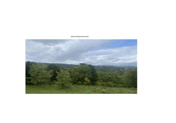 Terreno en calle Camping, 1