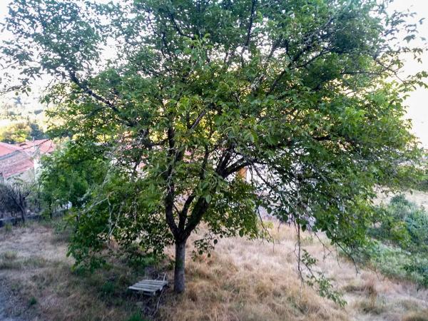 Terreno en Valverde, 54