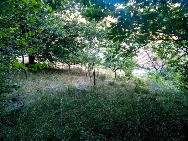 Terreno en Valverde, 54